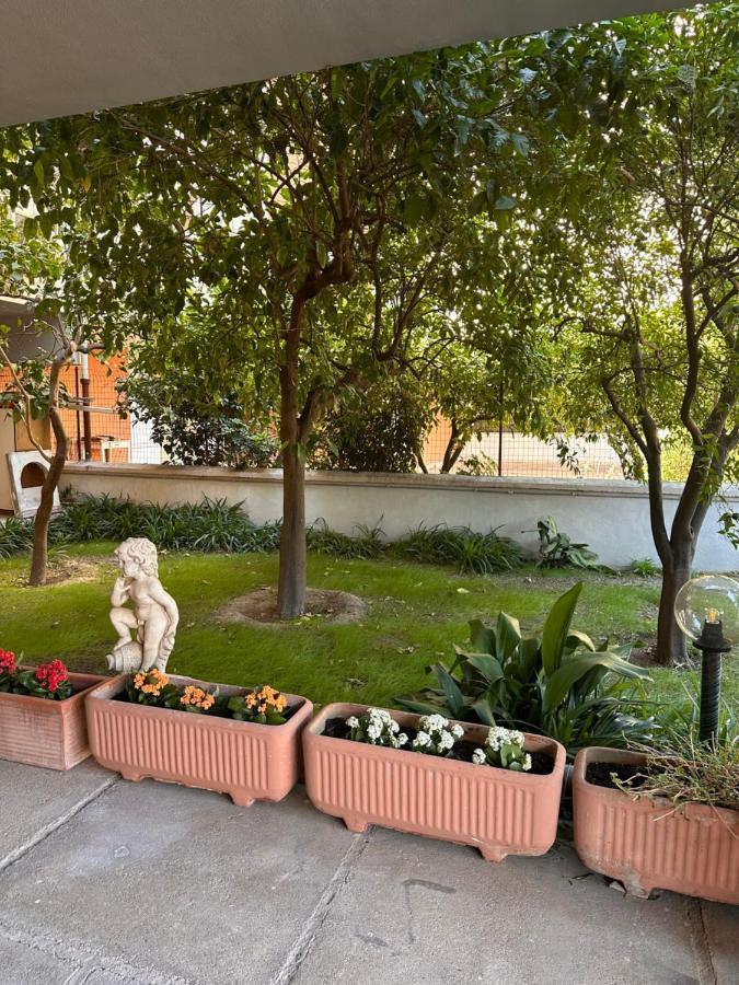 Ajoaolbia B&B Exteriör bild